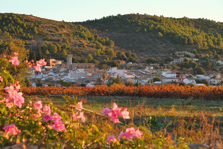 The Vall de Pop with vineyards, mountains and authentic villages in Costa Blanca North